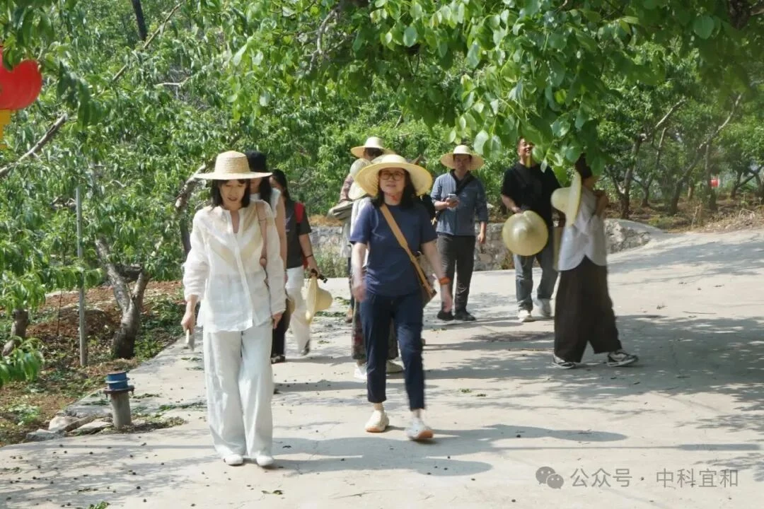 团队成员步行考察多慢桃花坞的林间道路与园区环境